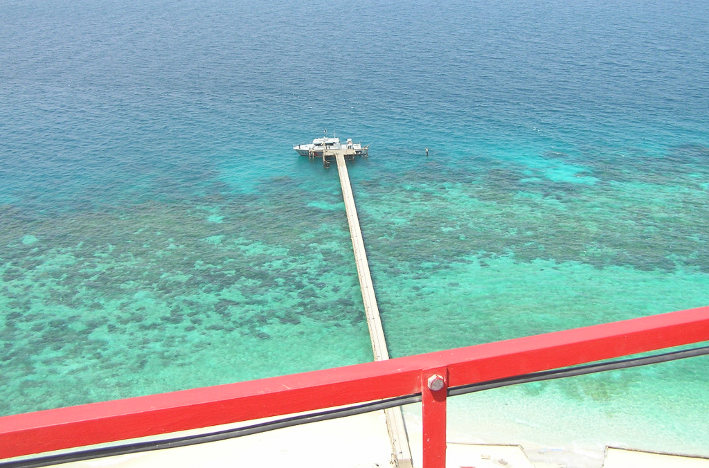 Transport back from top of radar mast